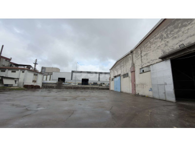 WhatsApp Image 2026-03-30 at 20.43.26 (2).jpeg